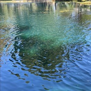 Meet your Posher, Johanna